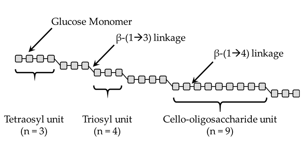 <b>Principales cambios materiales durante la glicación: descomposición de proteínas y β-glucano</b>